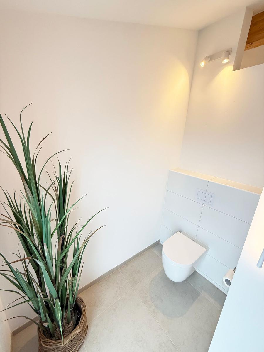 Toilet with plant and lighting on the wall