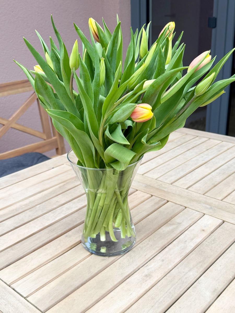 Tulips in glass on terrace table
