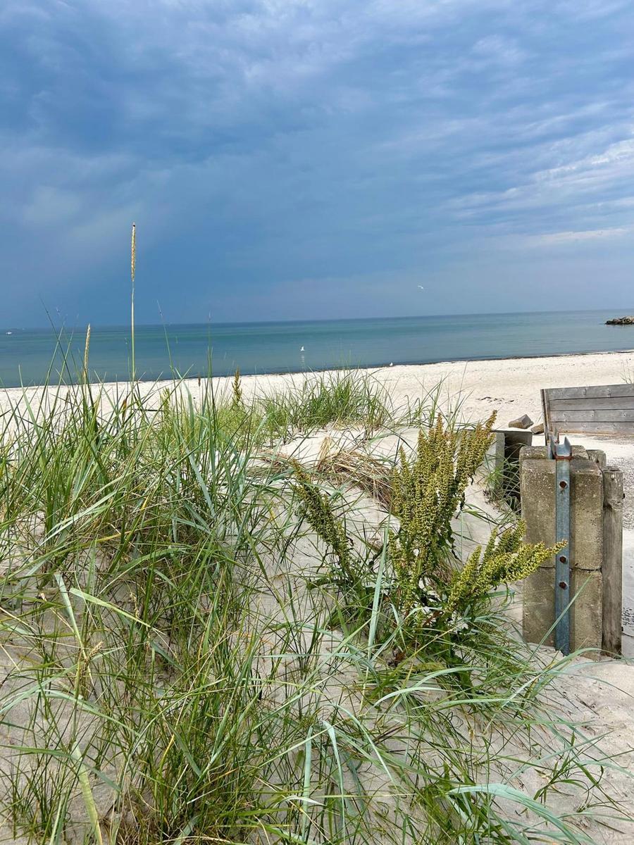 Strand mit Dünen, Gräsern und Blick auf das Meer unter bewölktem Himmel.