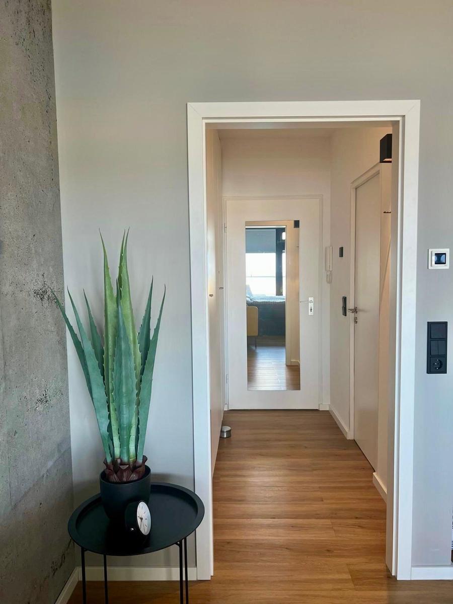 Hallenraum mit Holzboden, Pflanze auf Tisch und Blick in Wohnbereich.