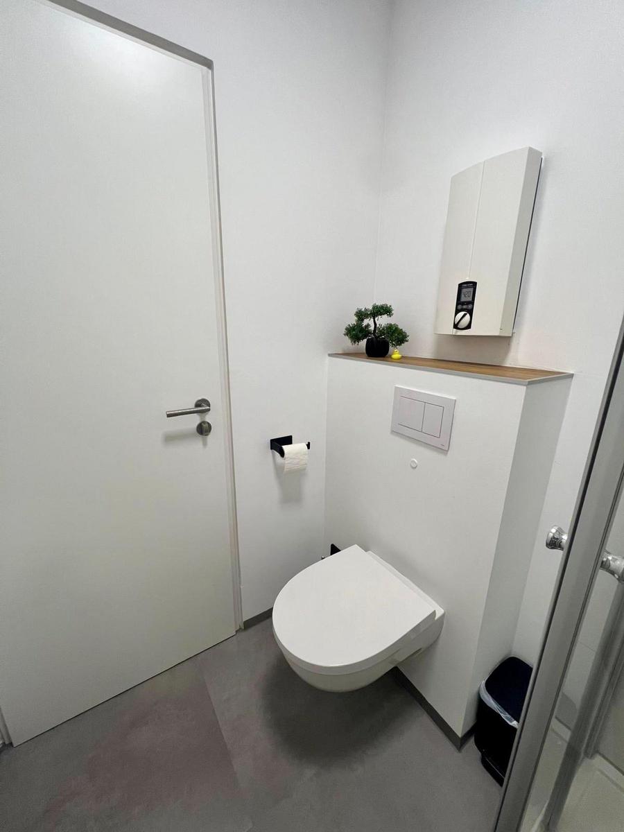Toilettenraum mit WC, Spülung und kleinen Pflanze.
