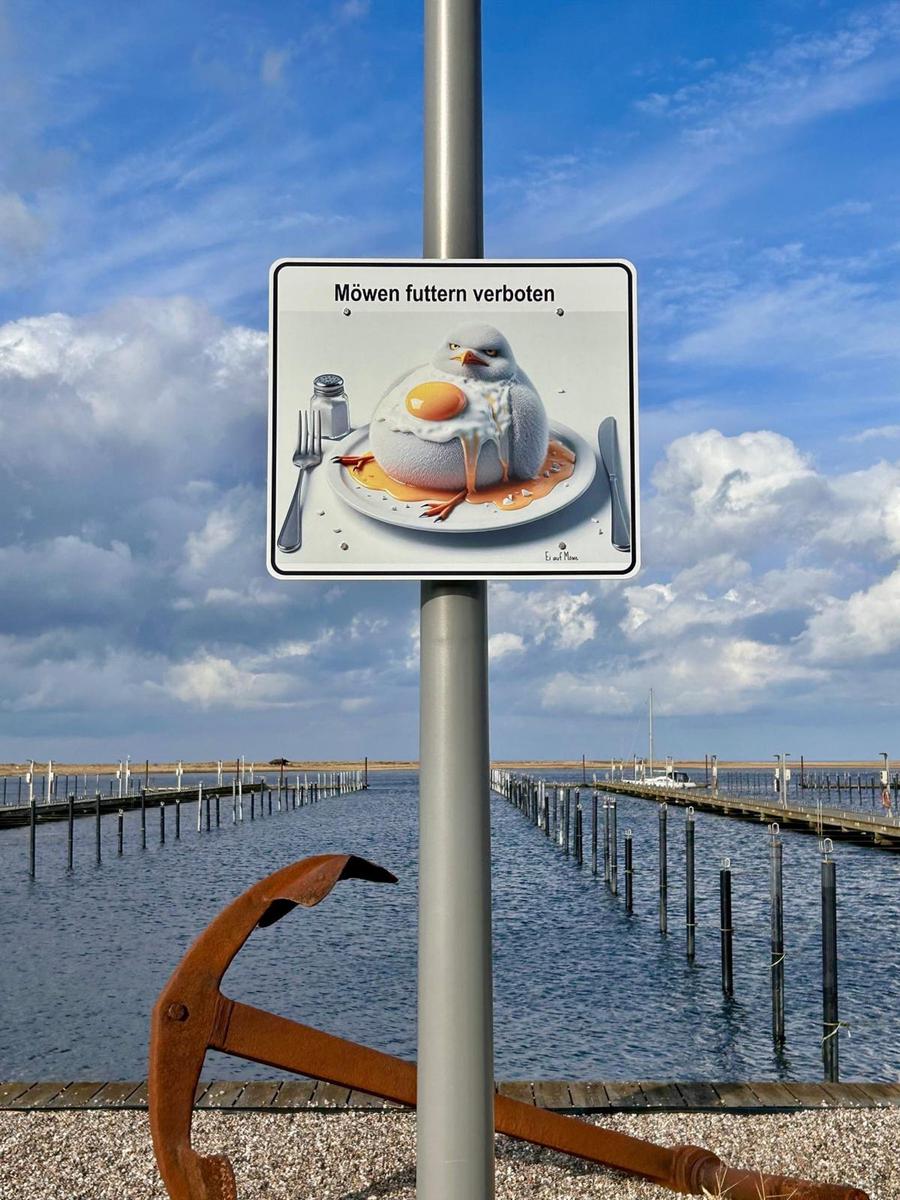 Schild verbietet es, Möwen zu füttern. Hintergrund: Hafen mit Stegen und blauem Himmel.