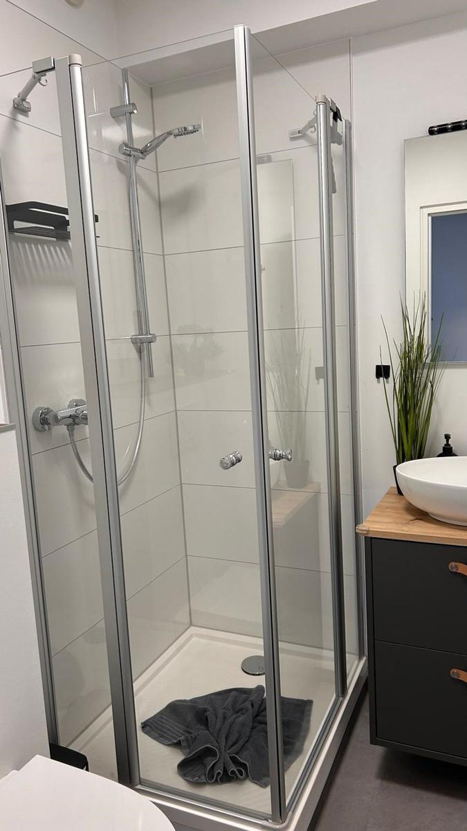 Duschkabine mit Glaswänden, Waschtisch und Pflanze