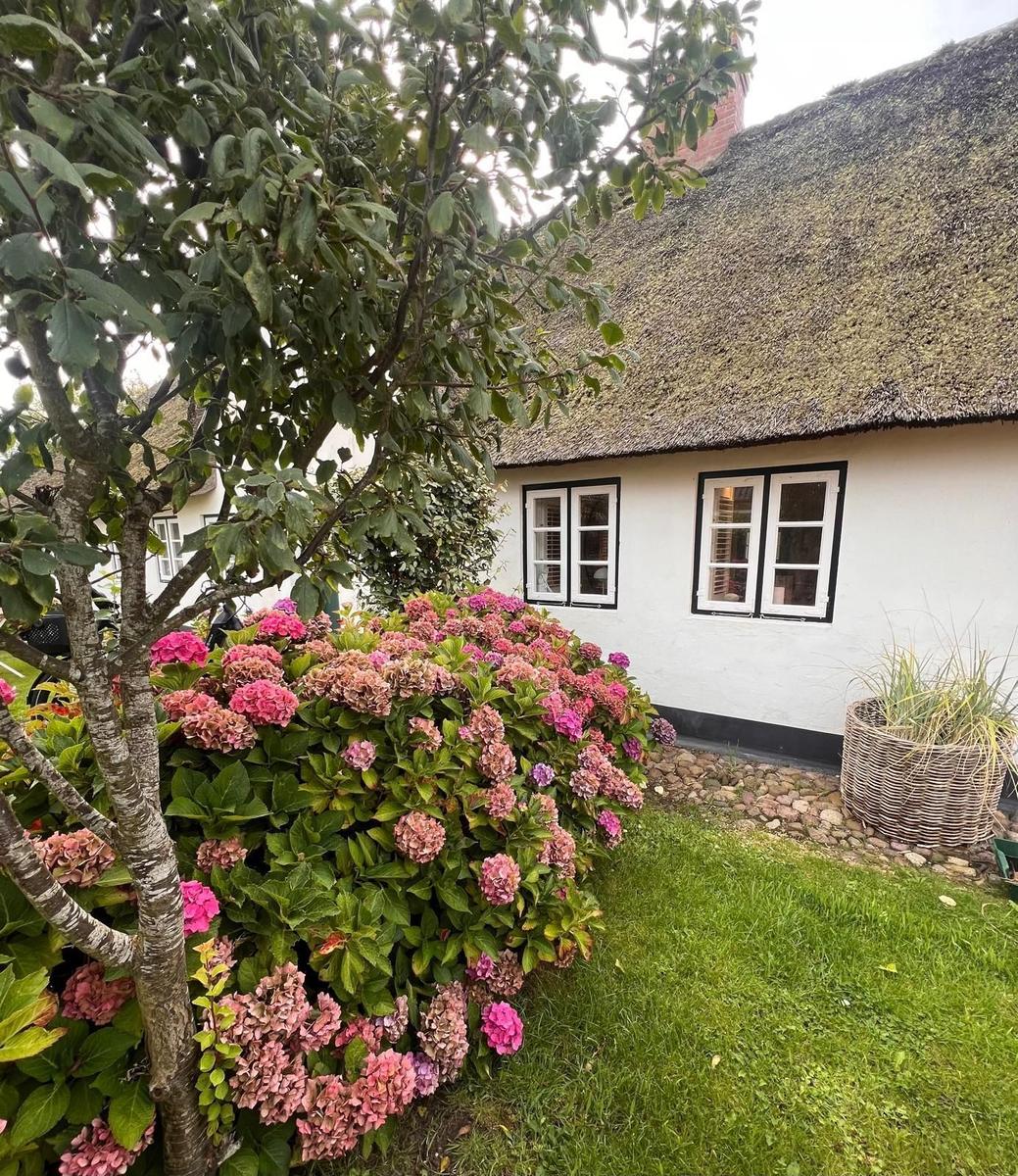 Haus mit Strohdach, Blumenbeet und Grasfläche