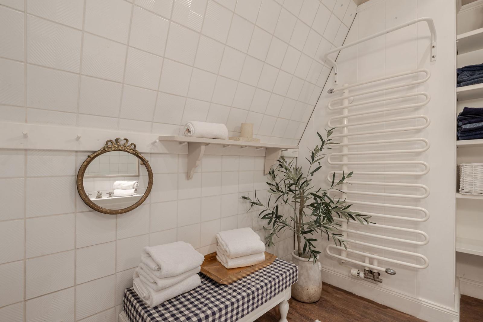 Badezimmer mit Duschbereich, Spiegel, Handtuchständer und Pflanze.