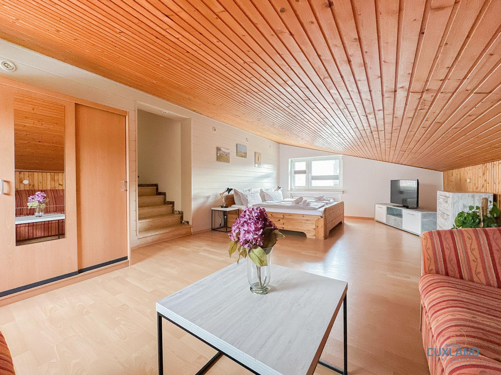 Wohnraum mit Schlafbereich, Fernseher und Holzdecke.