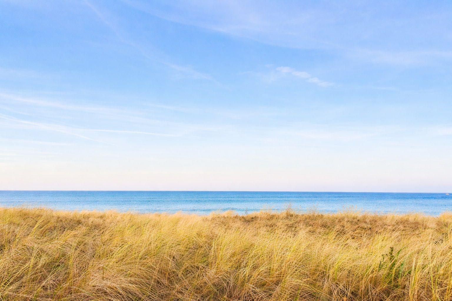 Weitläufiger Blick auf das Meer mit goldener Strandvegetation im Vordergrund unter blauem Himmel.