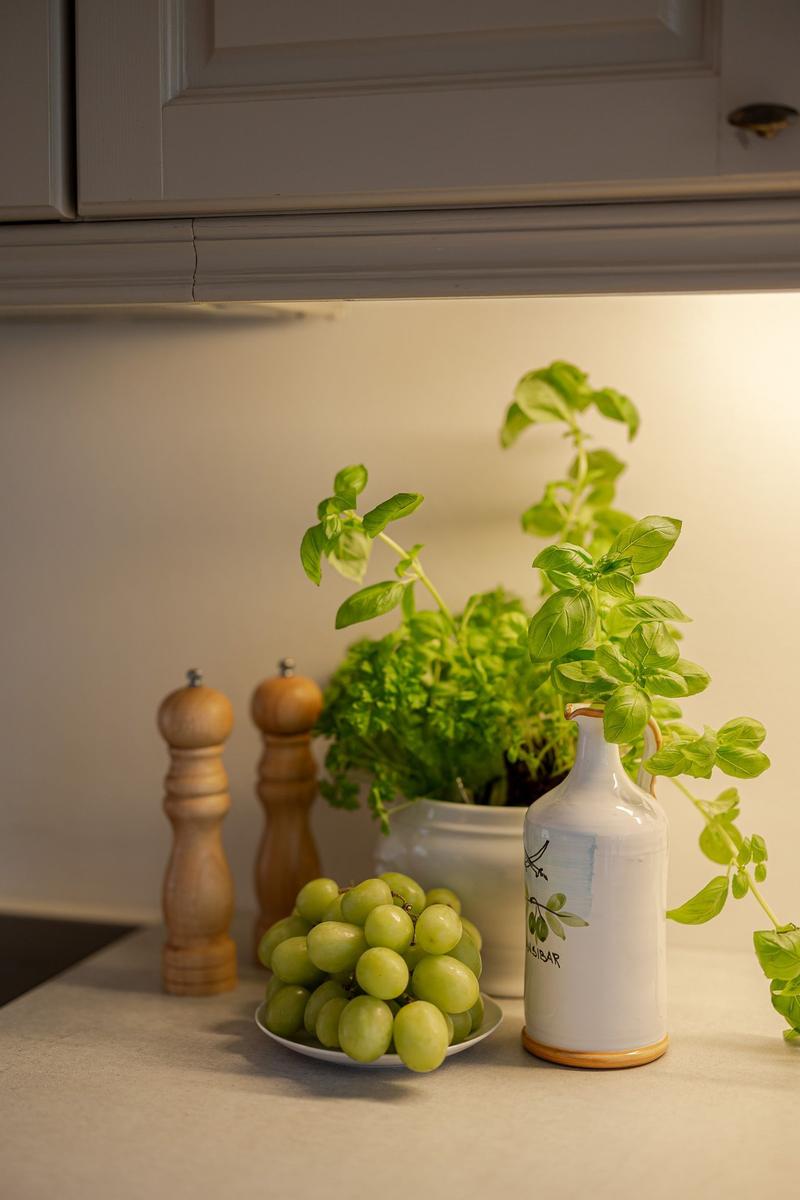 Kitchen countertop with basil, green grapes, and wooden pepper mill.