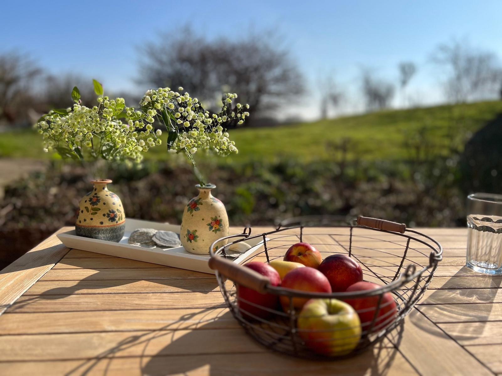 Gartenblick
