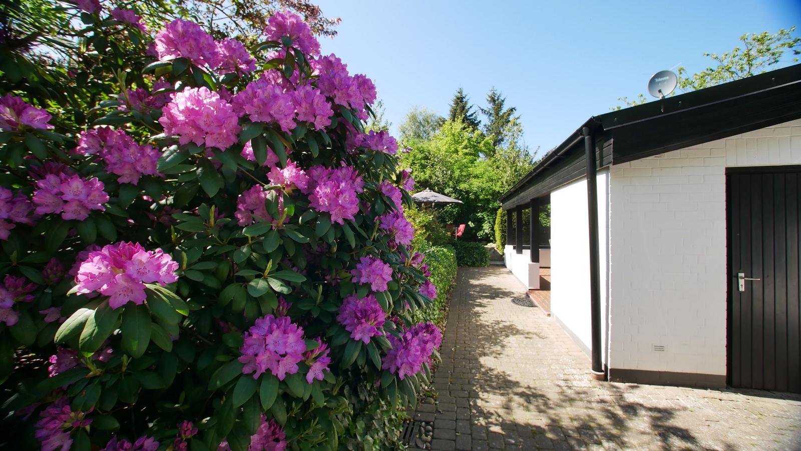 Gartenblick