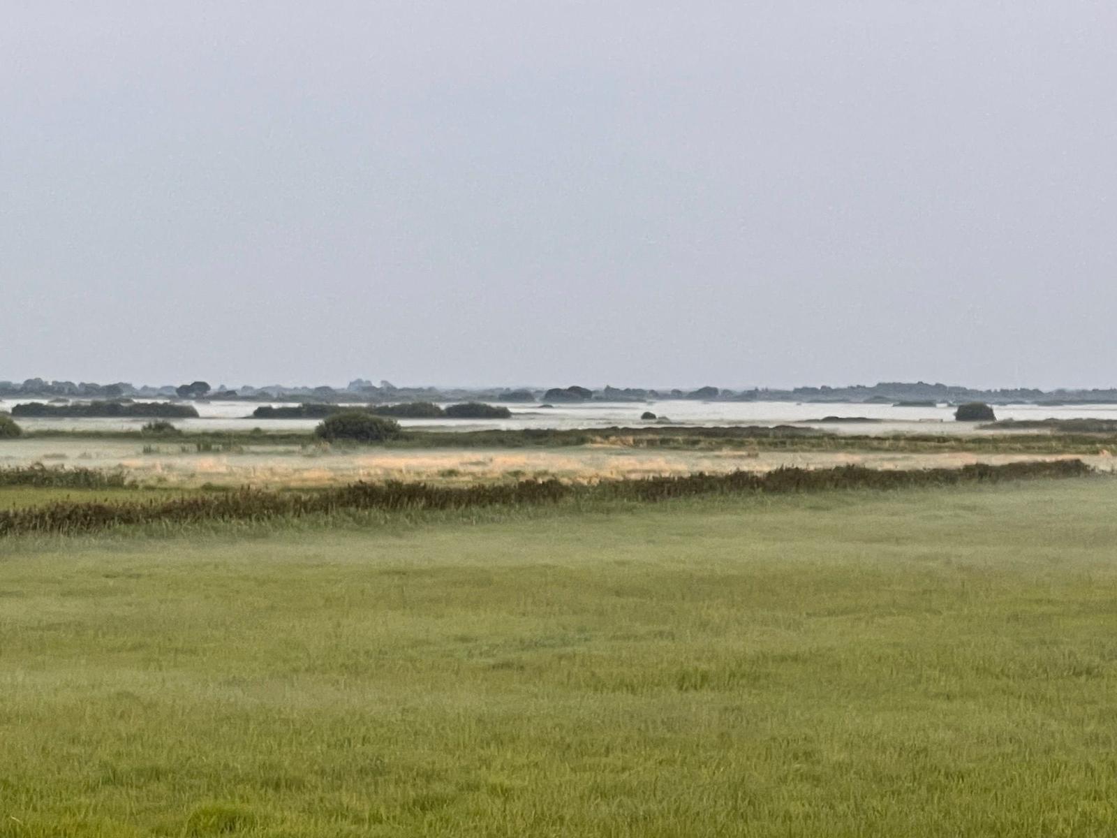 Landschaft
