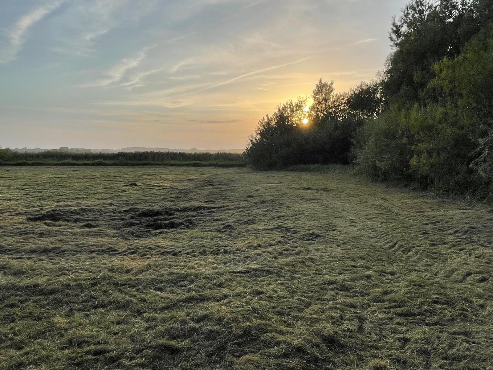 Landschaft