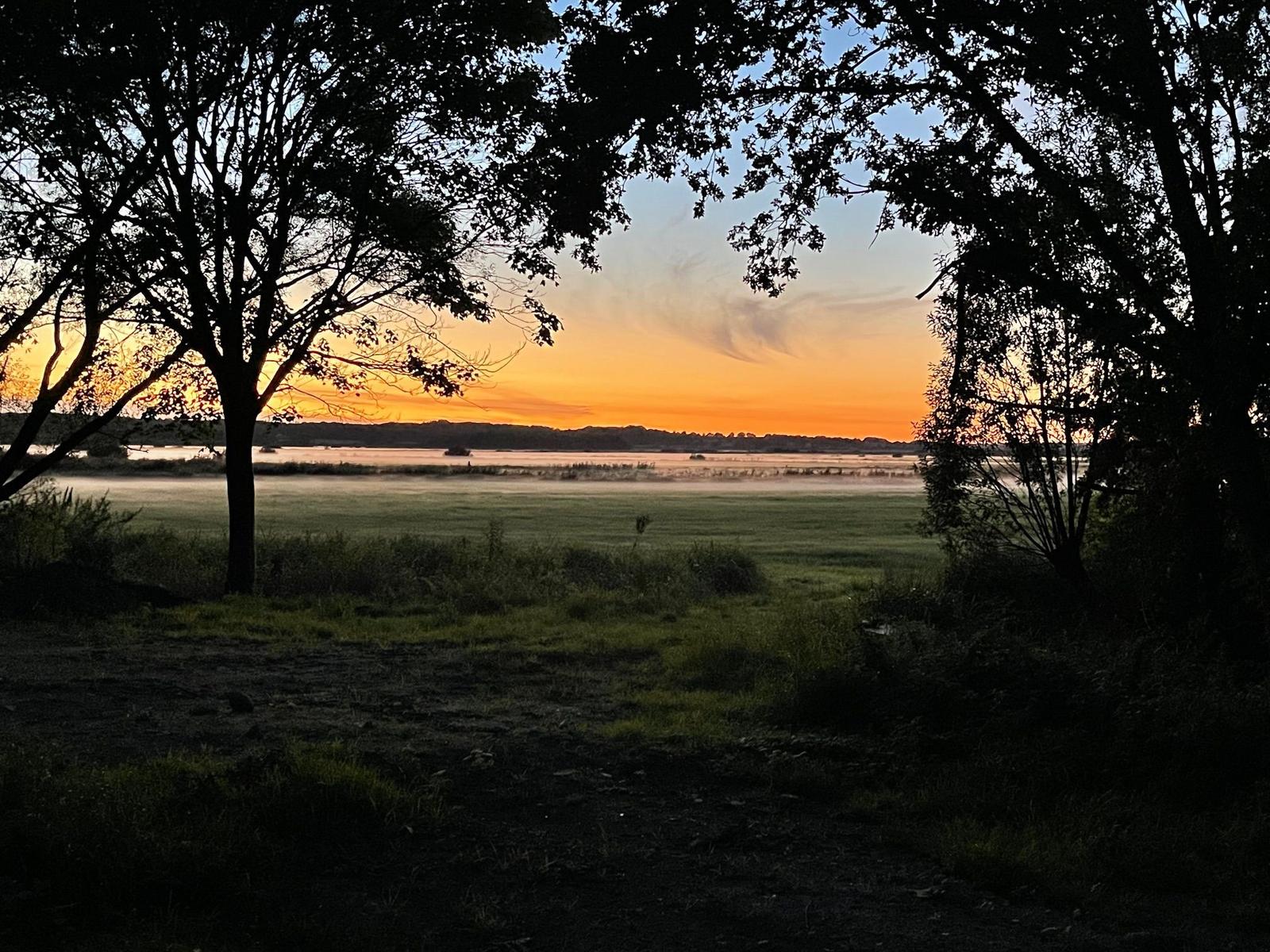 Landschaft