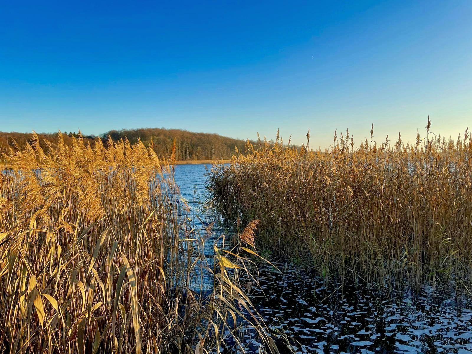 Landschaft