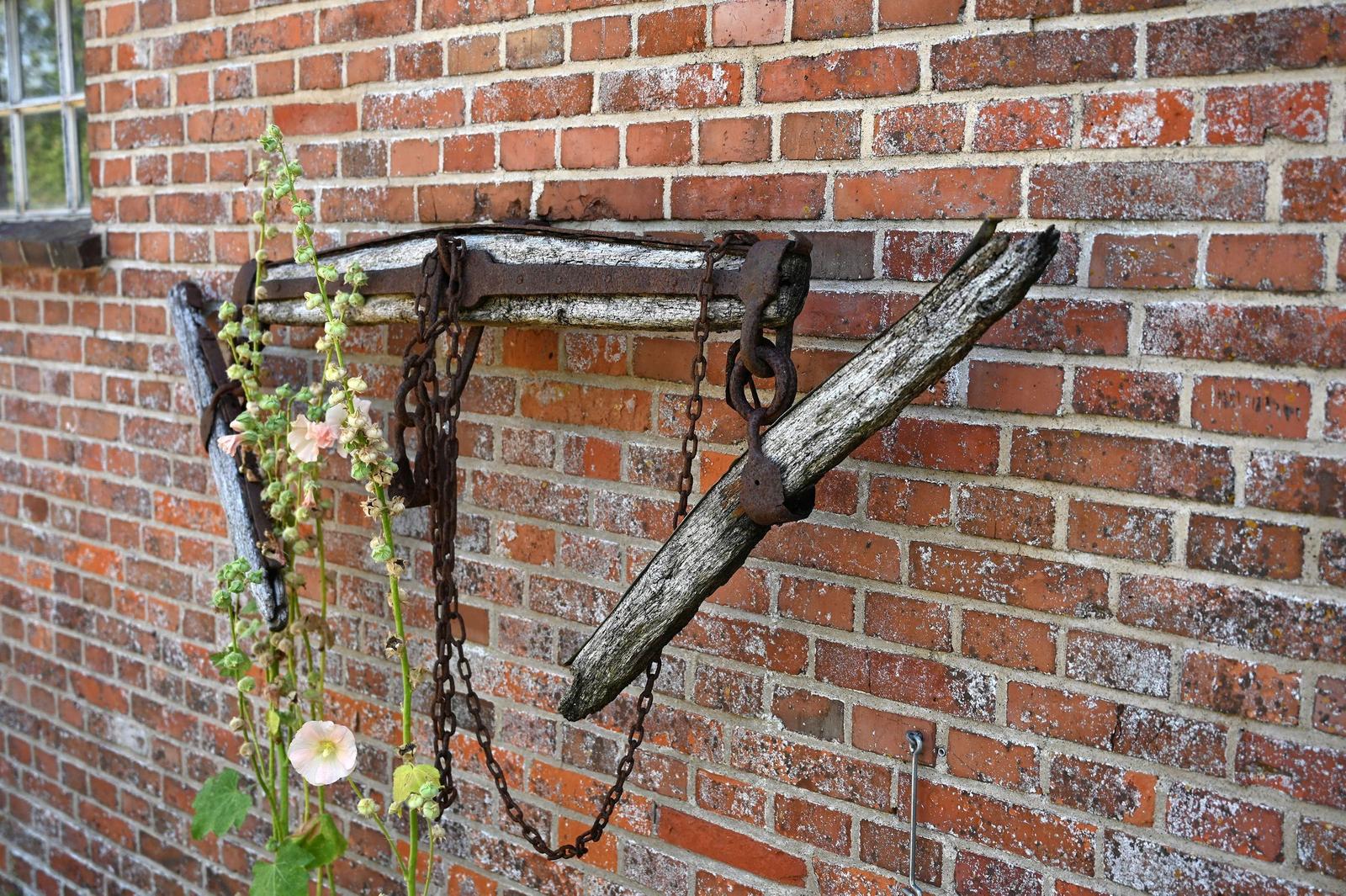 Dekoratives Detail