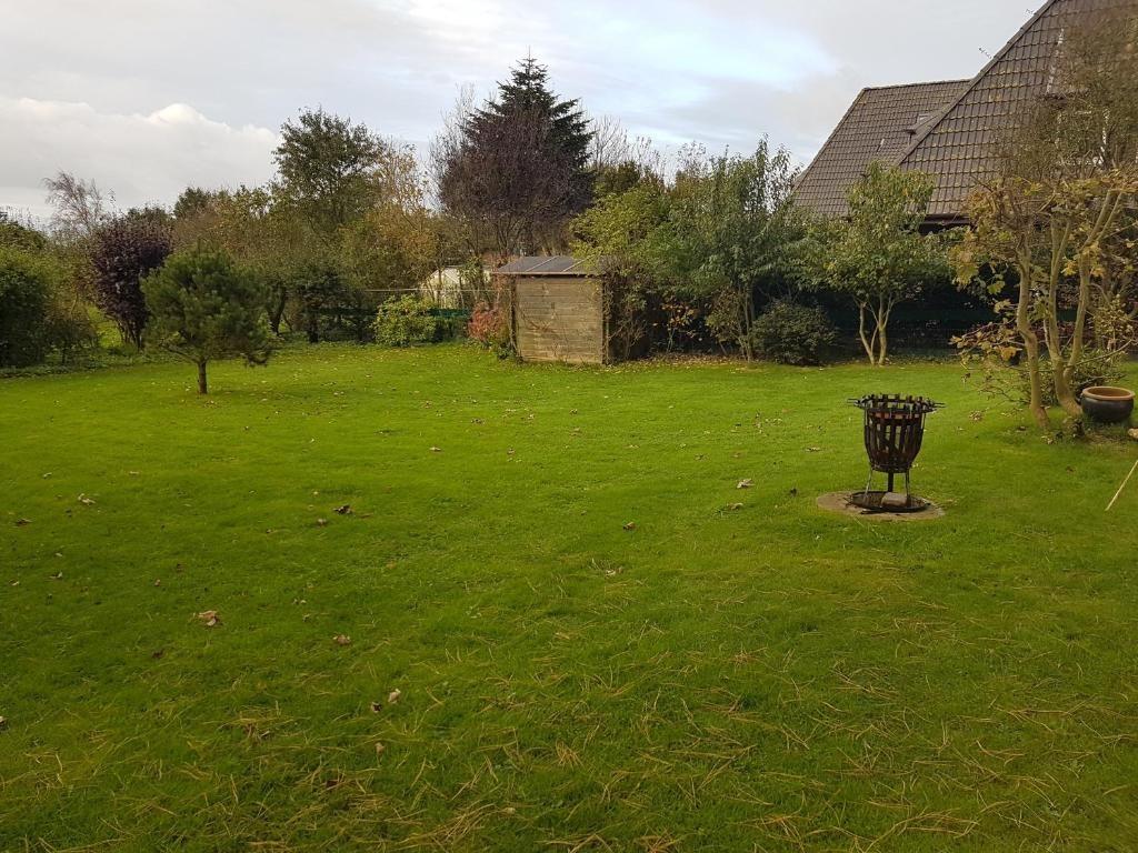 Grüner Rasenbereich mit Feuerkorb und Gartenhaus im Hintergrund.