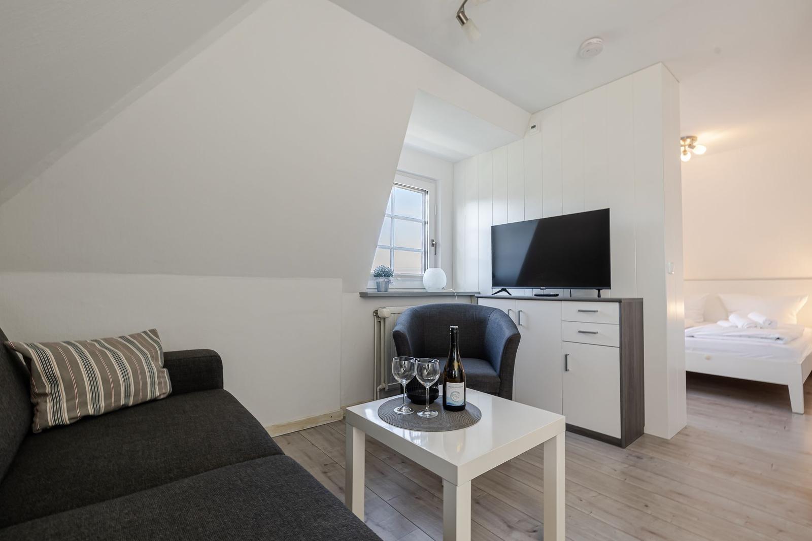Wohnbereich mit Sofa, Fernseher und Blick in Schlafzimmer