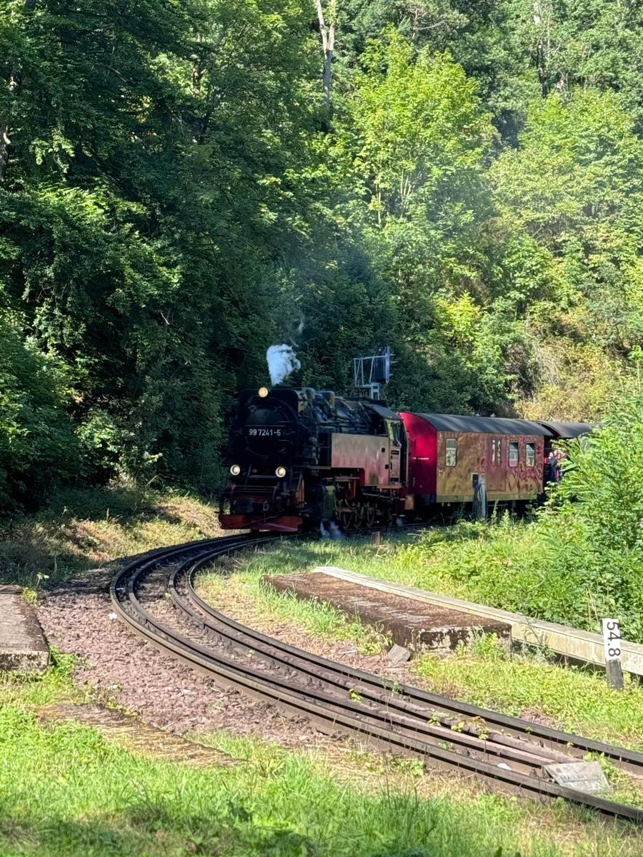 Harzer Schmalspurbahn auf dem Weg zum Brocken