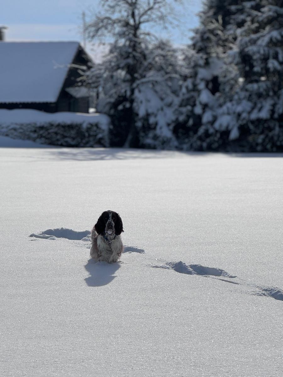 Spaß im Schnee