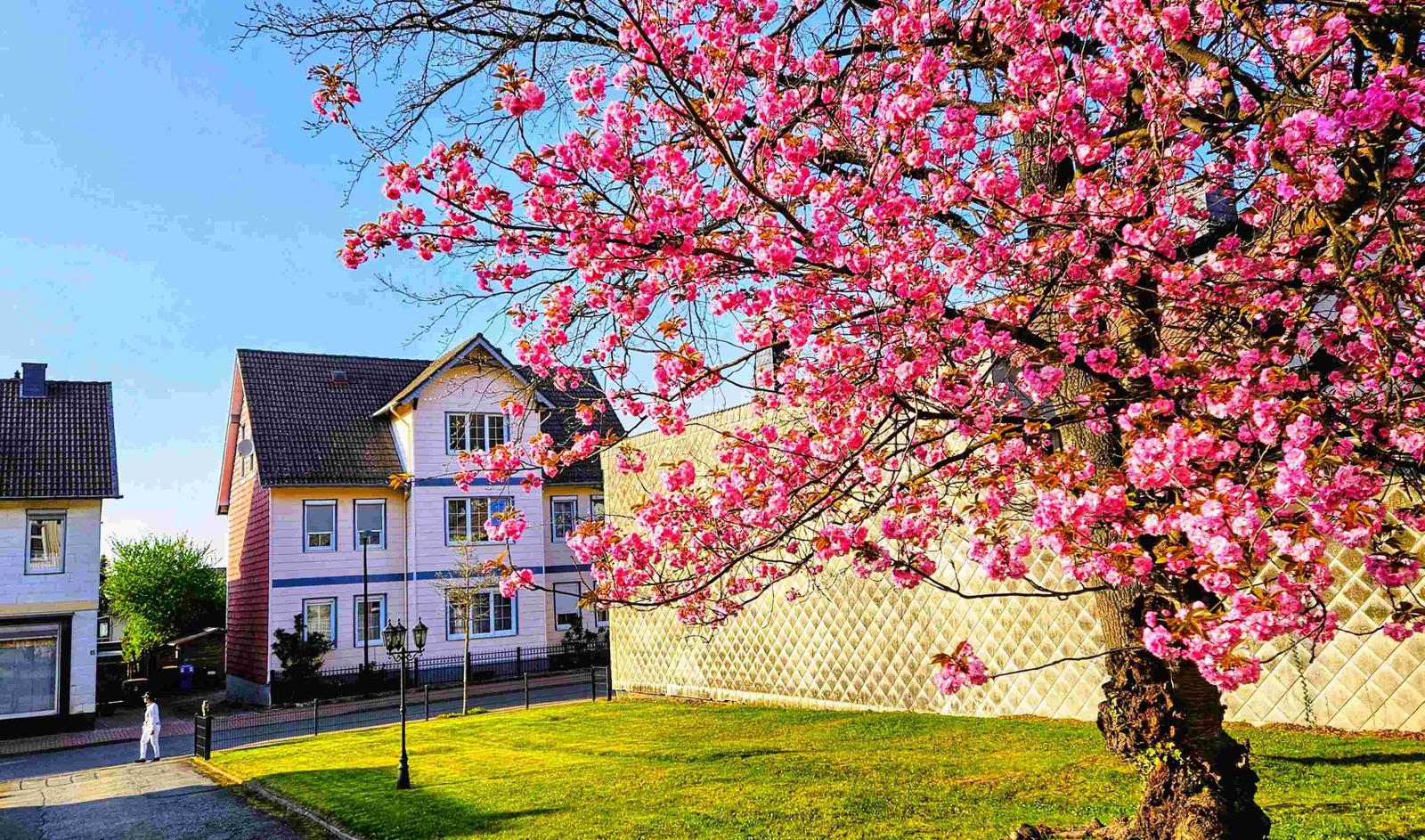 residieren in malerischer Stadtvilla mit Stil und Charme
