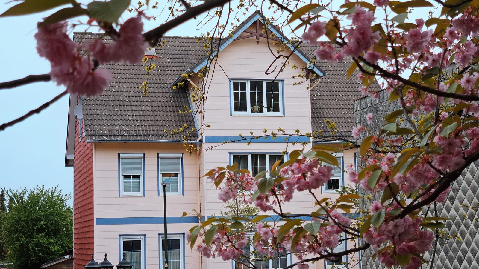 Komfortwohnung erwartet nette Menschen
