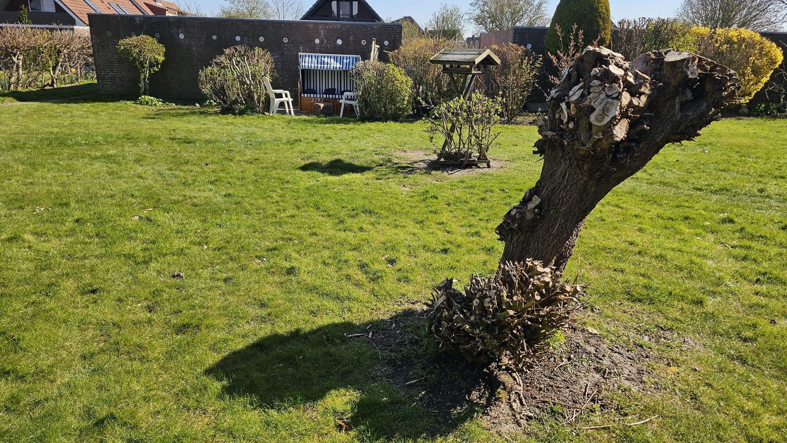Garten mit Rasen, Baumstumpf und Strandkorb vor Hauswand.