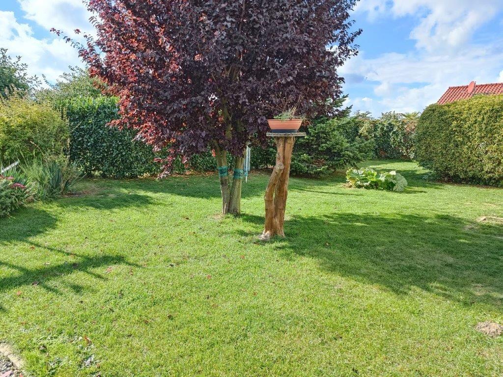 Grundstück um die Terrasse
