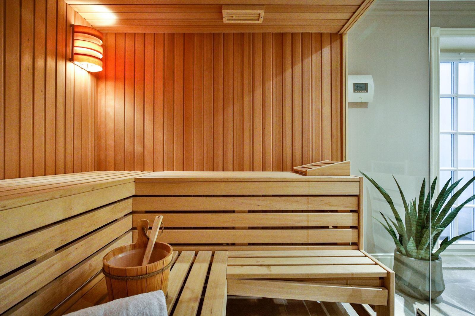 Sauna mit Holzbank, Eiche und Eimer. Pflanze und Fenster sichtbar.