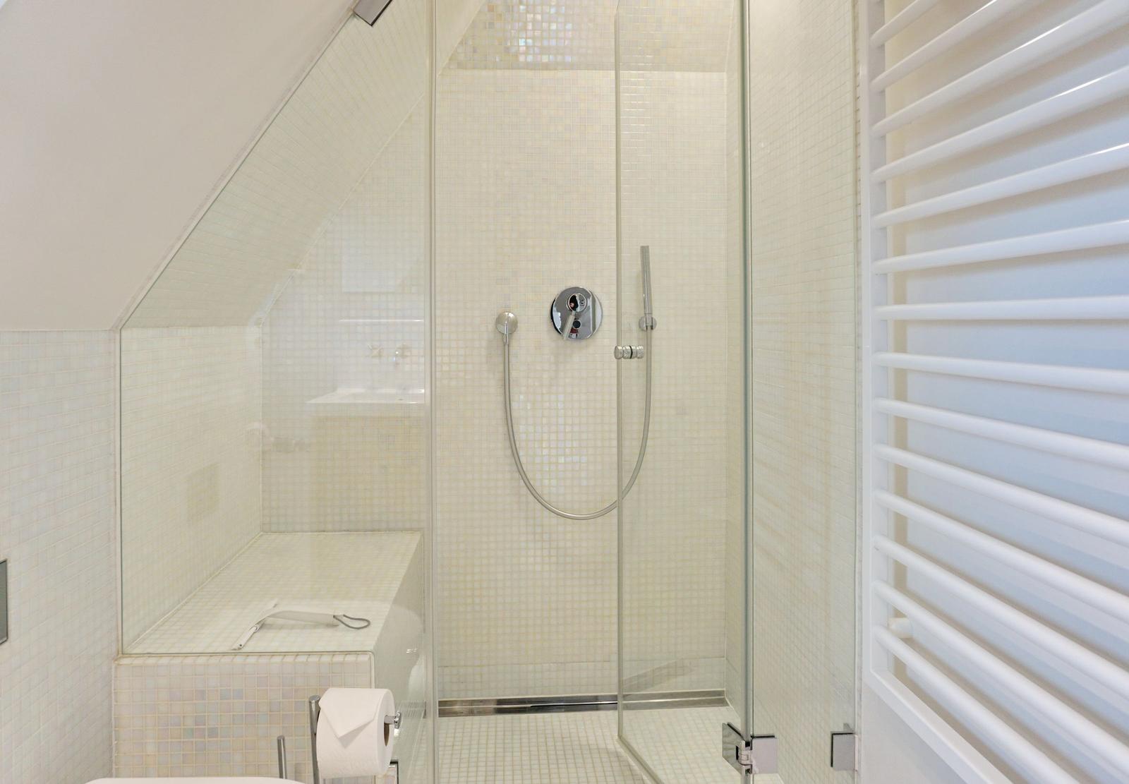 Dusche mit Glaswand und Duschbrause, daneben Heizung und Toilettenpapier.