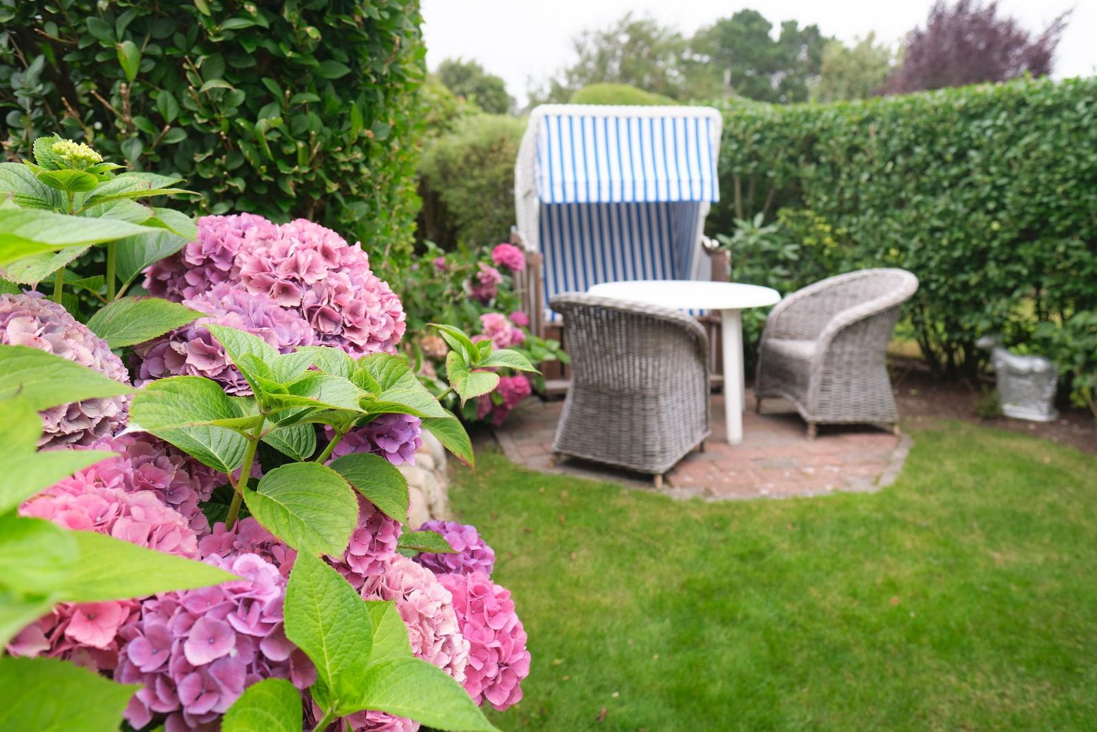 Garten mit blau-weißem Sonnenschirm, Wickerstühlen und rosa Hortensien.