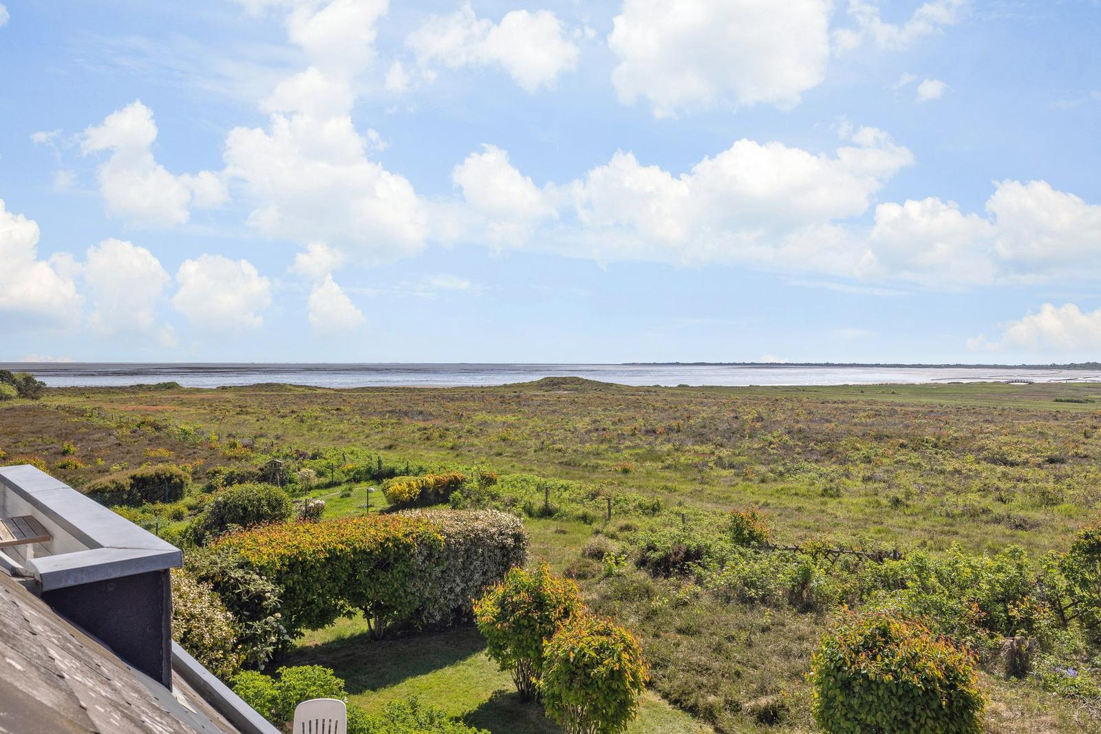 Weitläufiger Blick auf Grasland und Wasser unter blauem Himmel mit weißen Wolken.