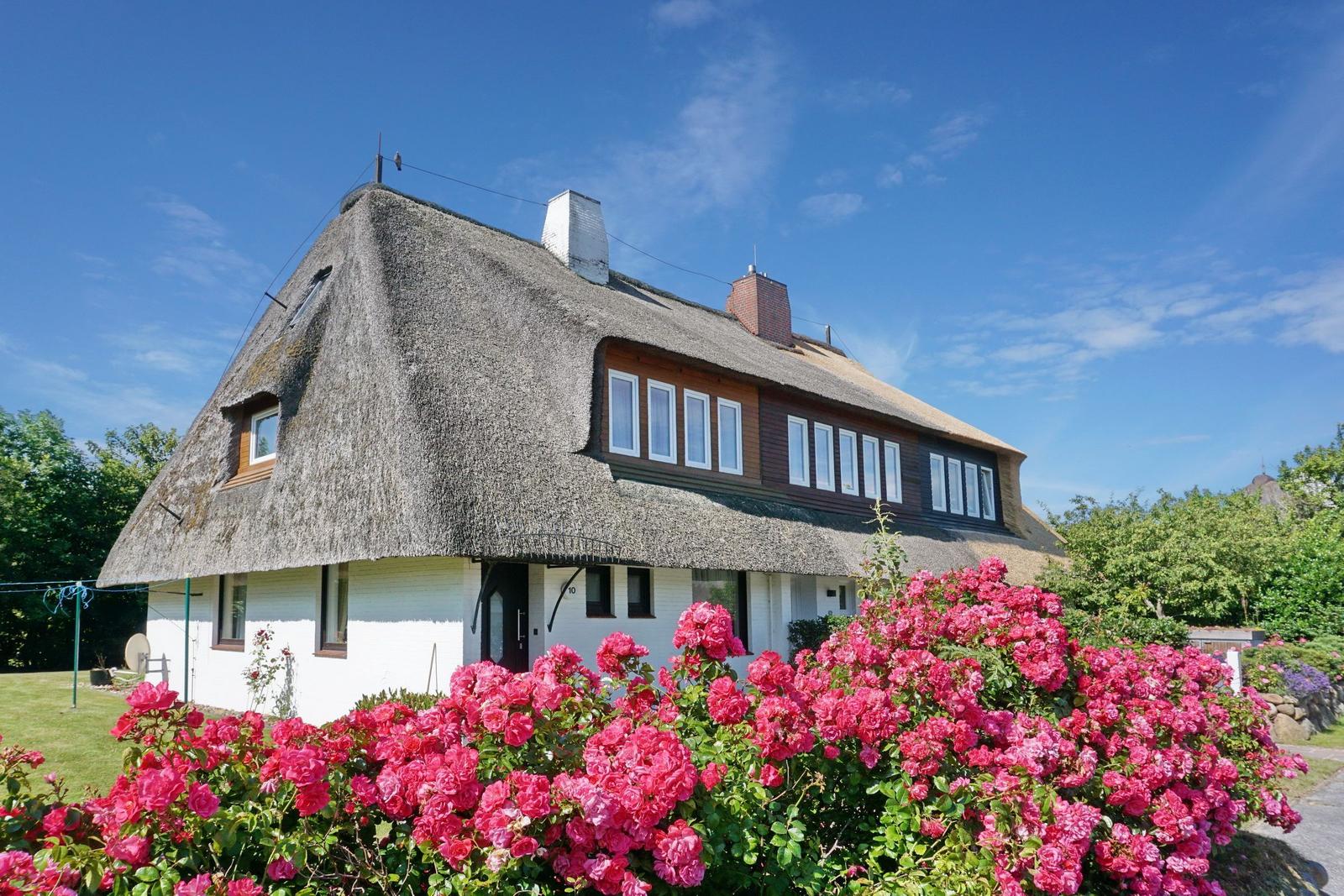 House with thatched roof and pink rose hedge under blue sky.