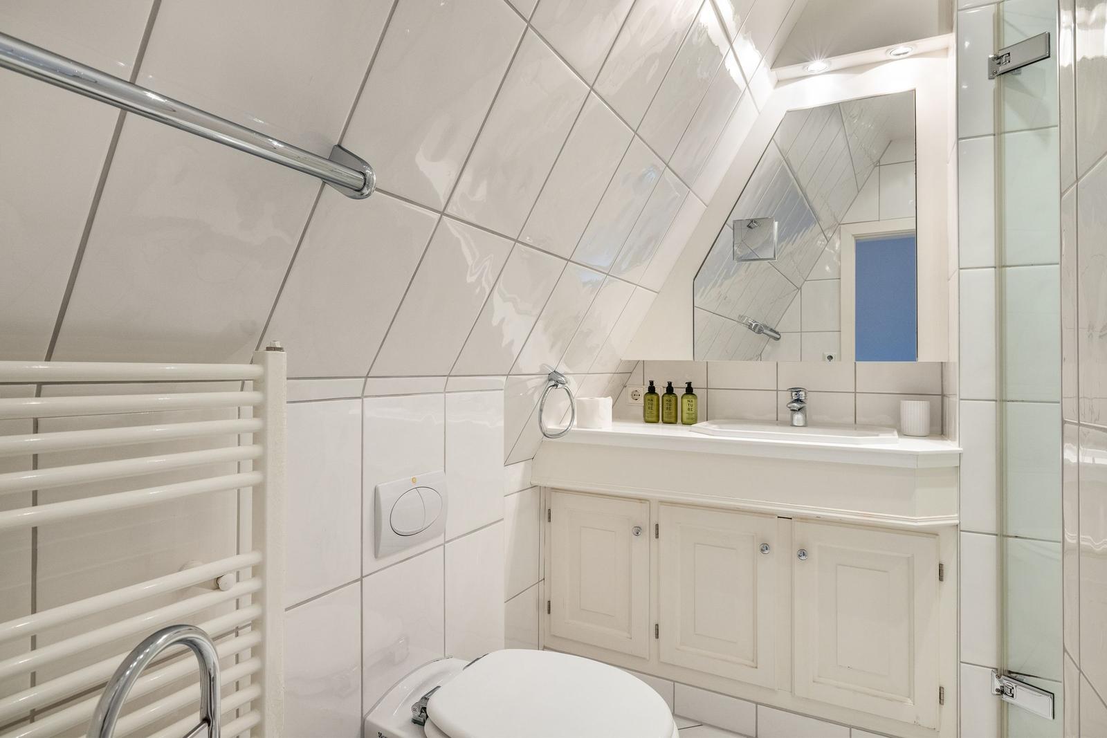 Badezimmer mit Duschbereich, Waschbecken und Toilette unter schräger Decke.