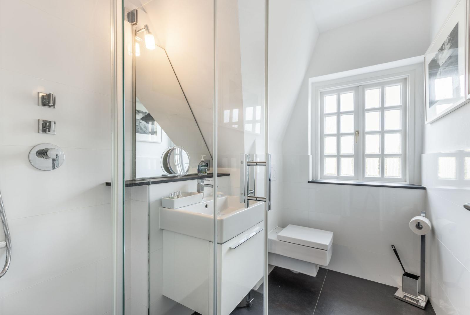 Bathroom with shower, sink, and toilet. Window with grid.