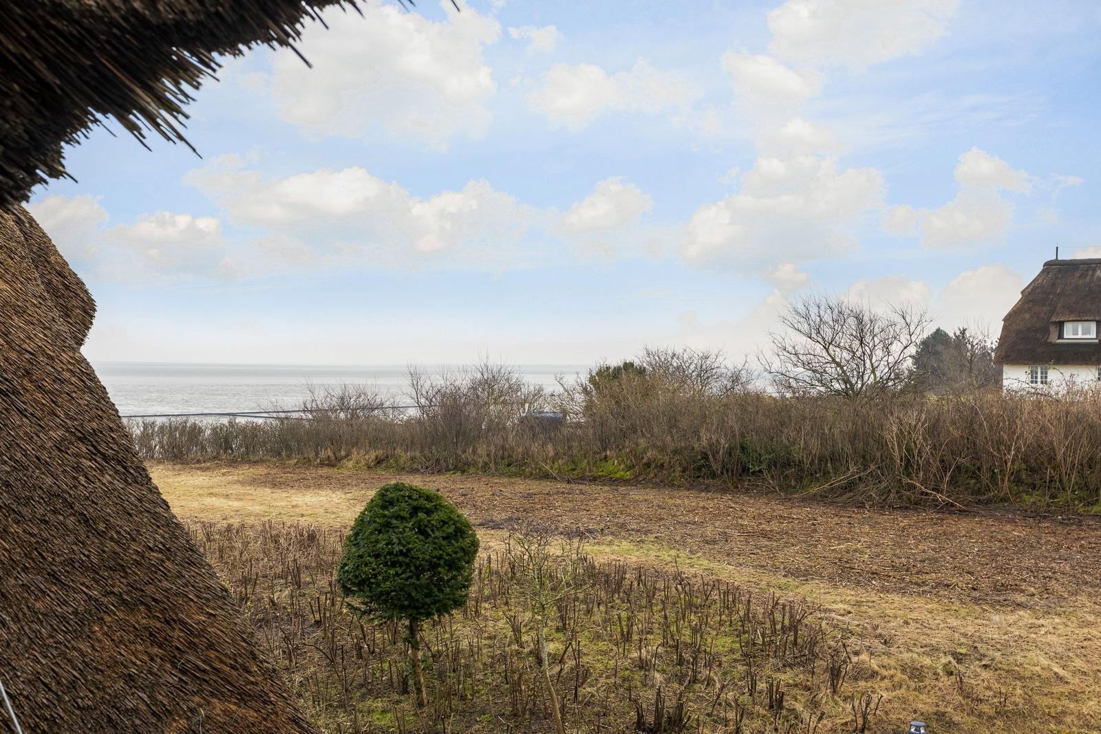 Dach aus Stroh, Blick aufs Meer und einen Garten mit einem Baum.