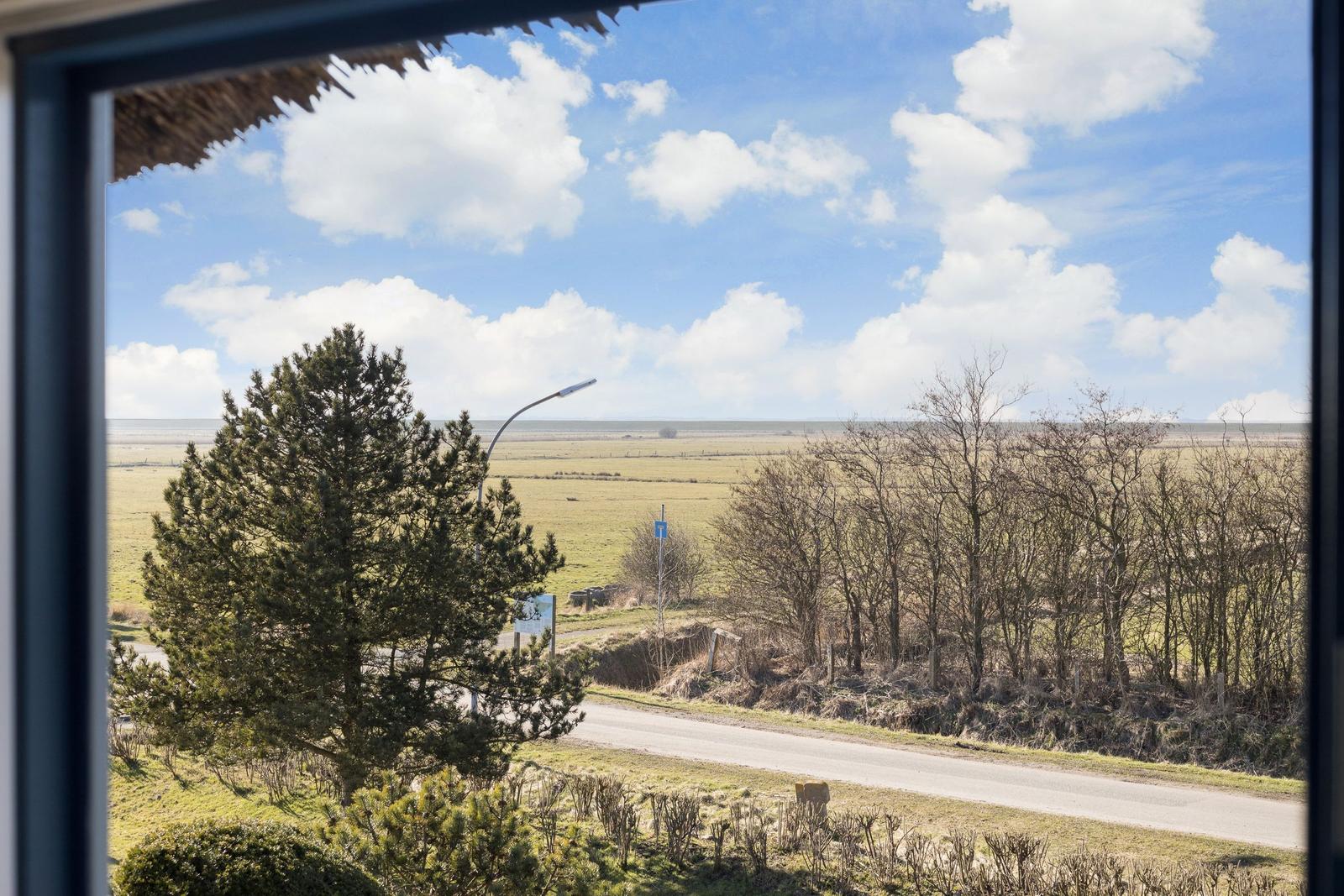 Blick aus dem Fenster auf Felder, Bäume und einen blauen Himmel mit Wolken.