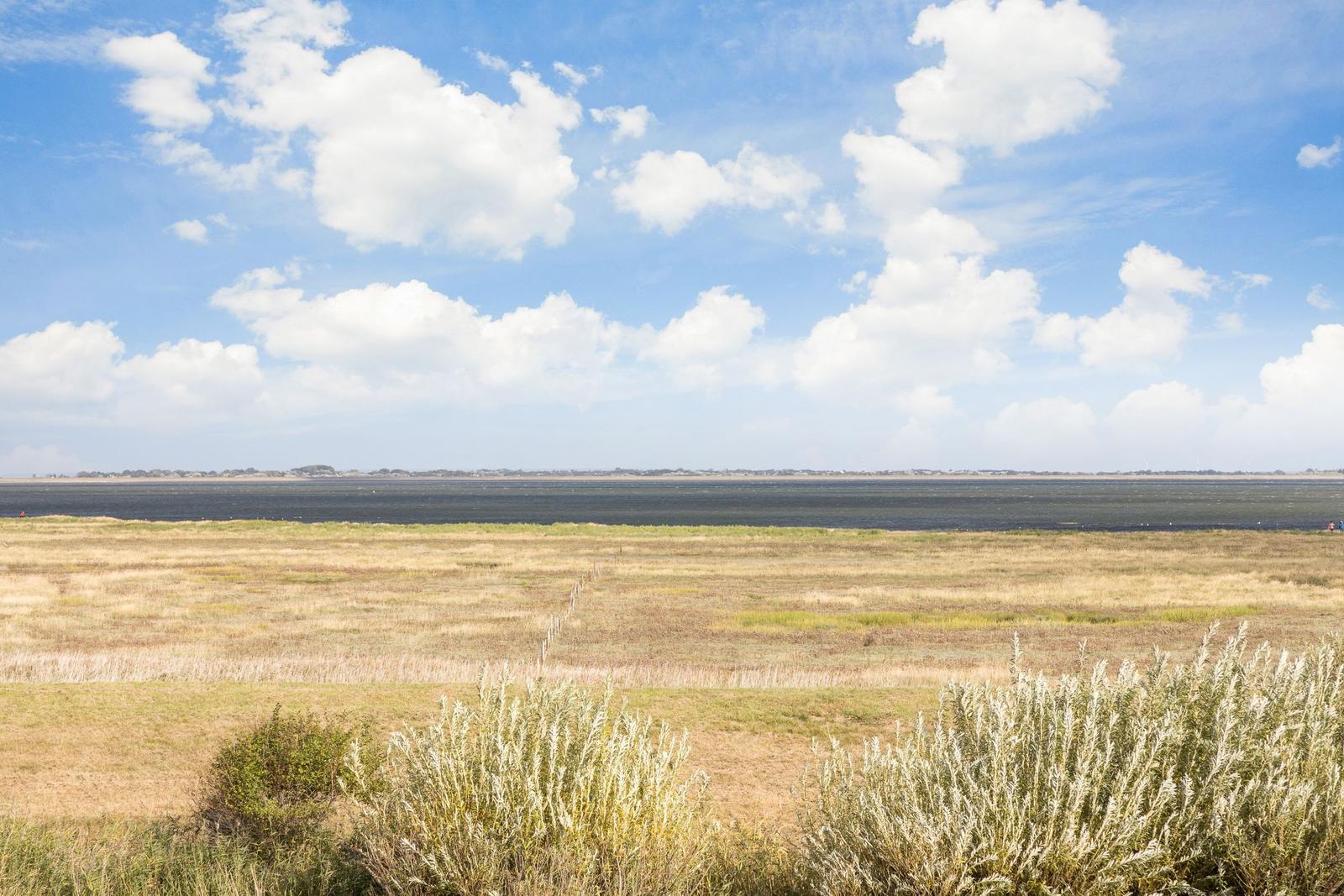 Weitläufige Landschaft mit Grasflächen und Wasser unter blauem Himmel mit weißen Wolken.
