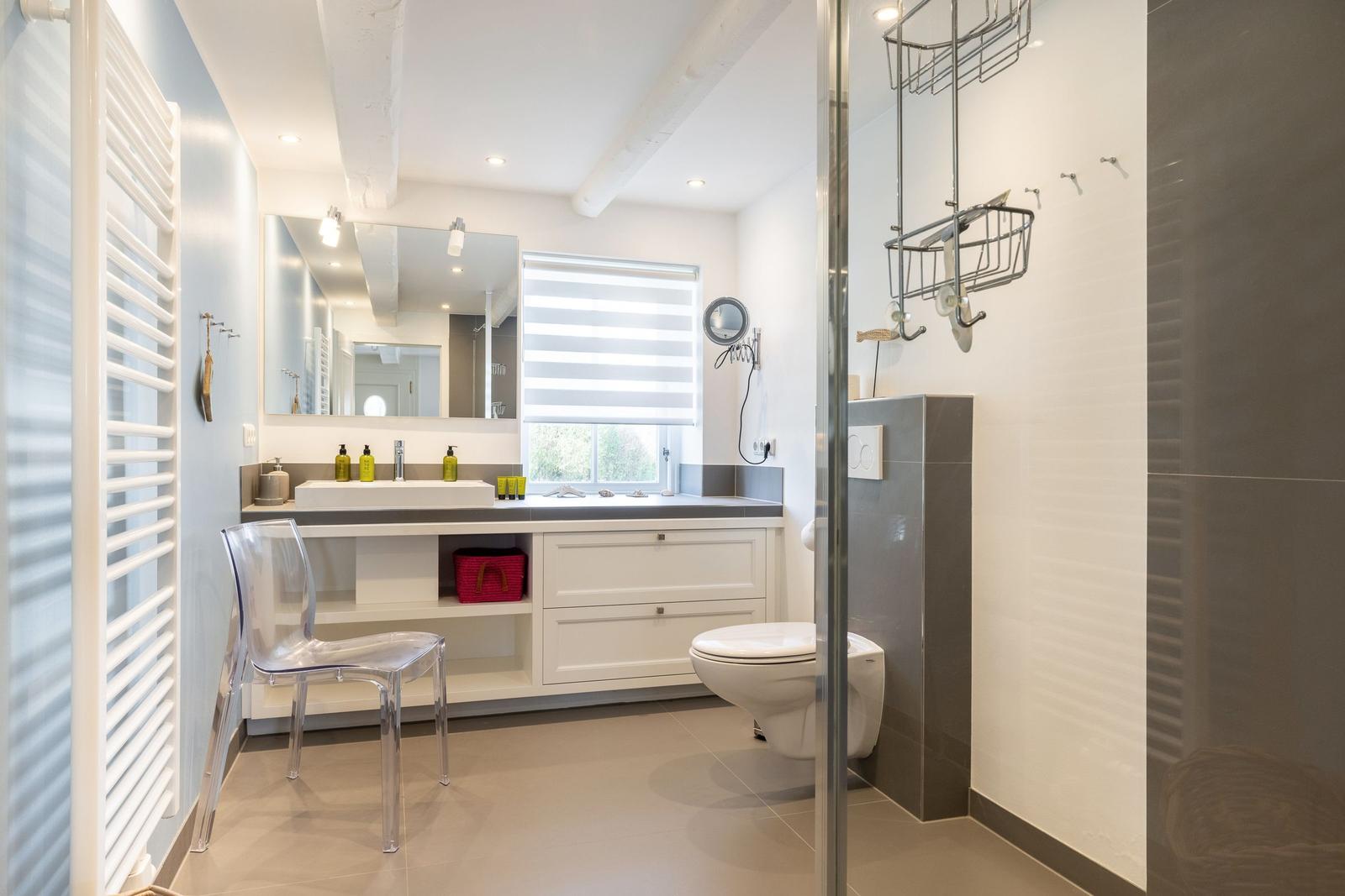 Bathroom with sink, mirror, toilet, and shower.