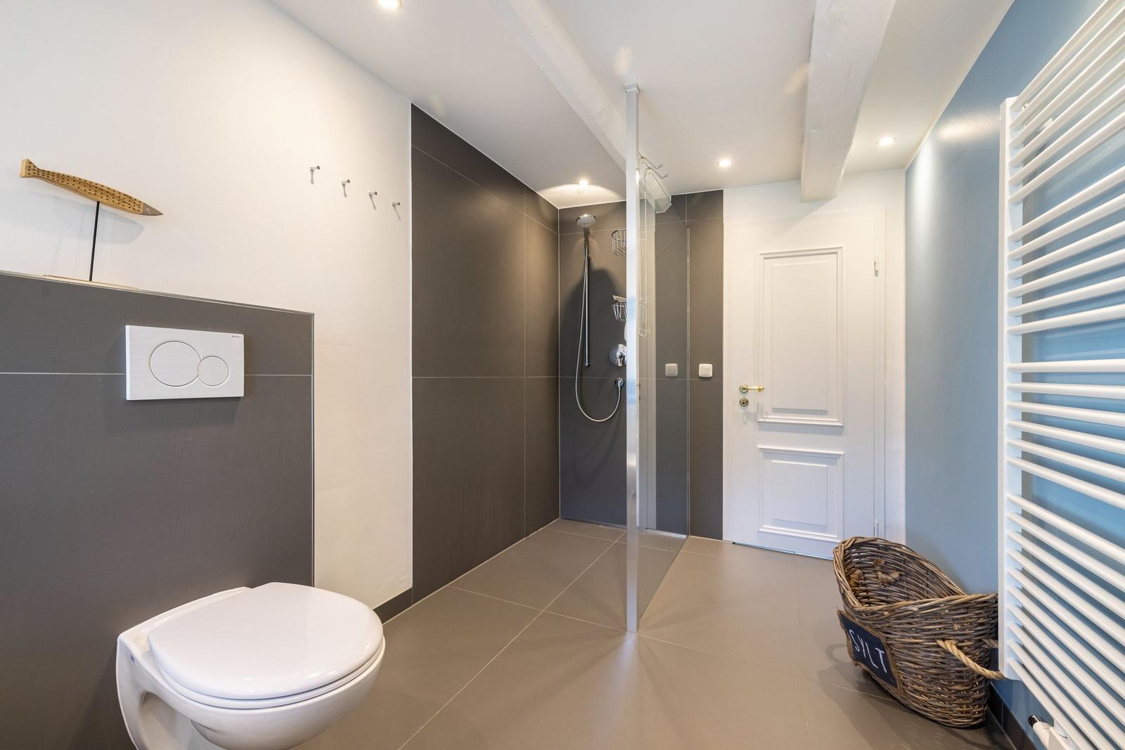Bathroom with shower, toilet, and heater. Walls are gray and light blue.