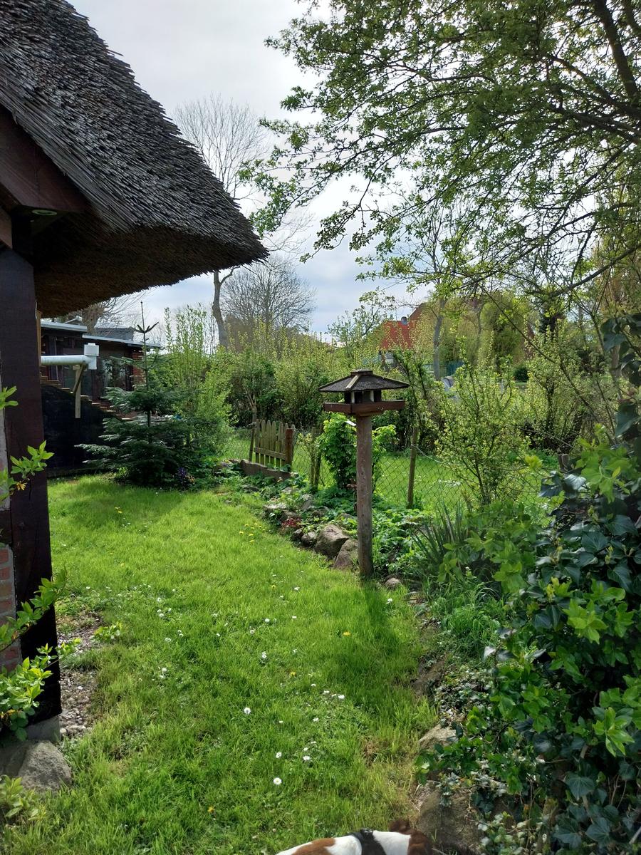 Gartenansicht