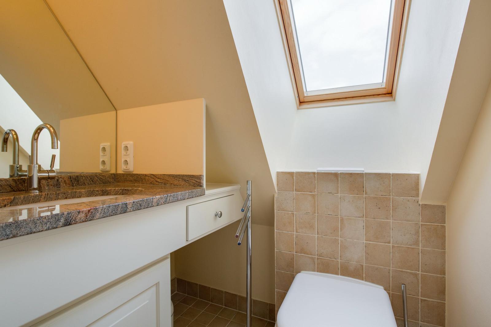 Bathroom with sink, mirror, and skylight