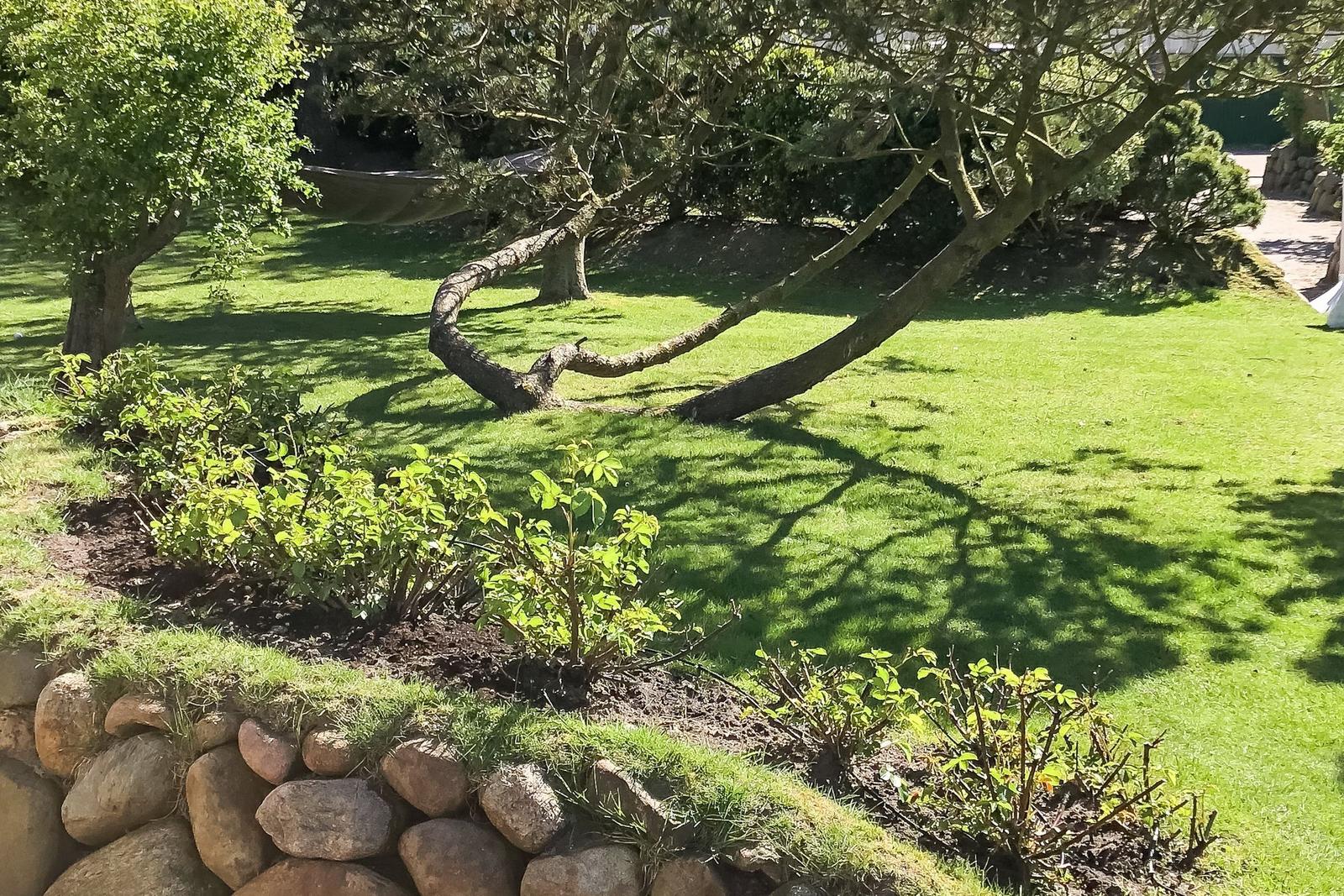 Garden with lawn, trees, and stone wall