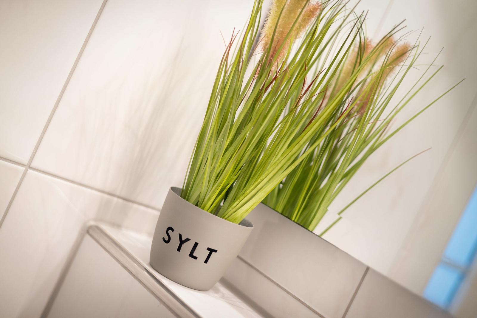A plant in a pot labeled Sylt sits on a surface.