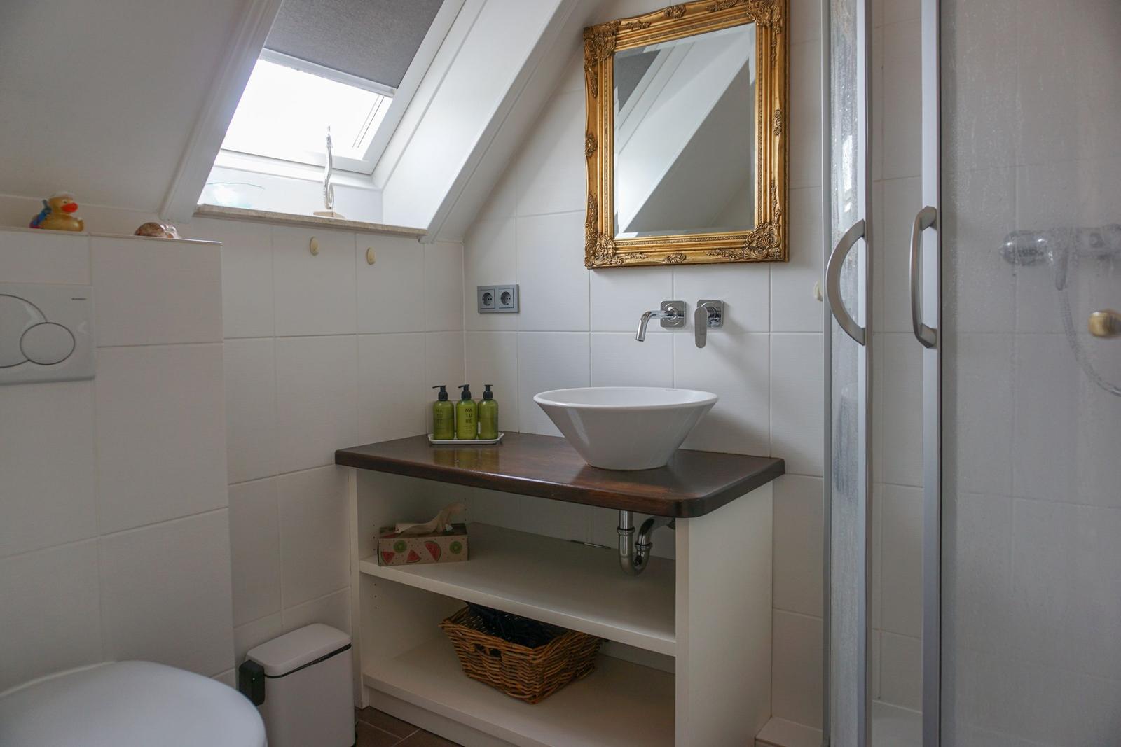 Bathroom with shower, sink, and skylight.