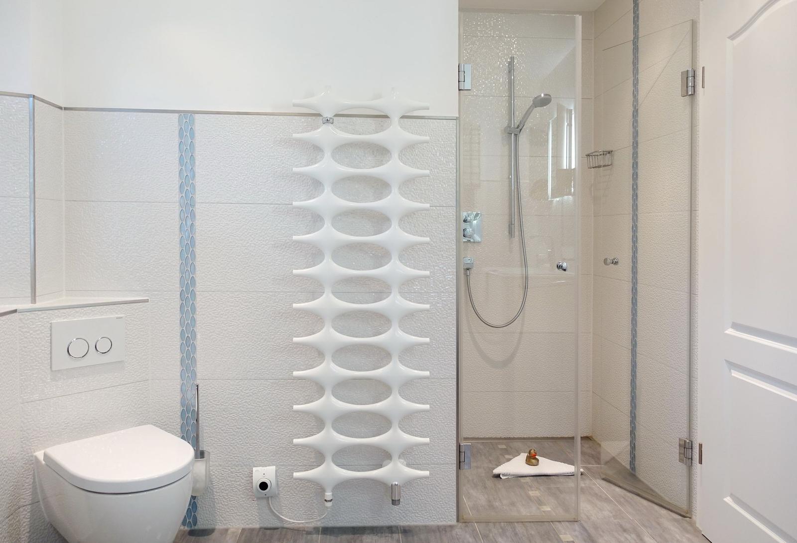 Bathroom with shower, toilet, and modern radiator.