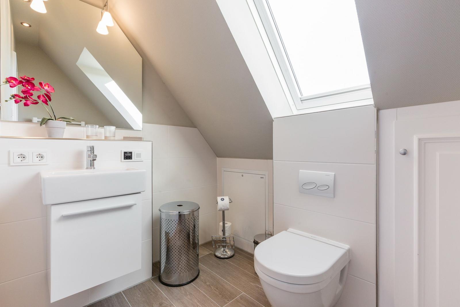 Bathroom with toilet, sink, and skylight.
