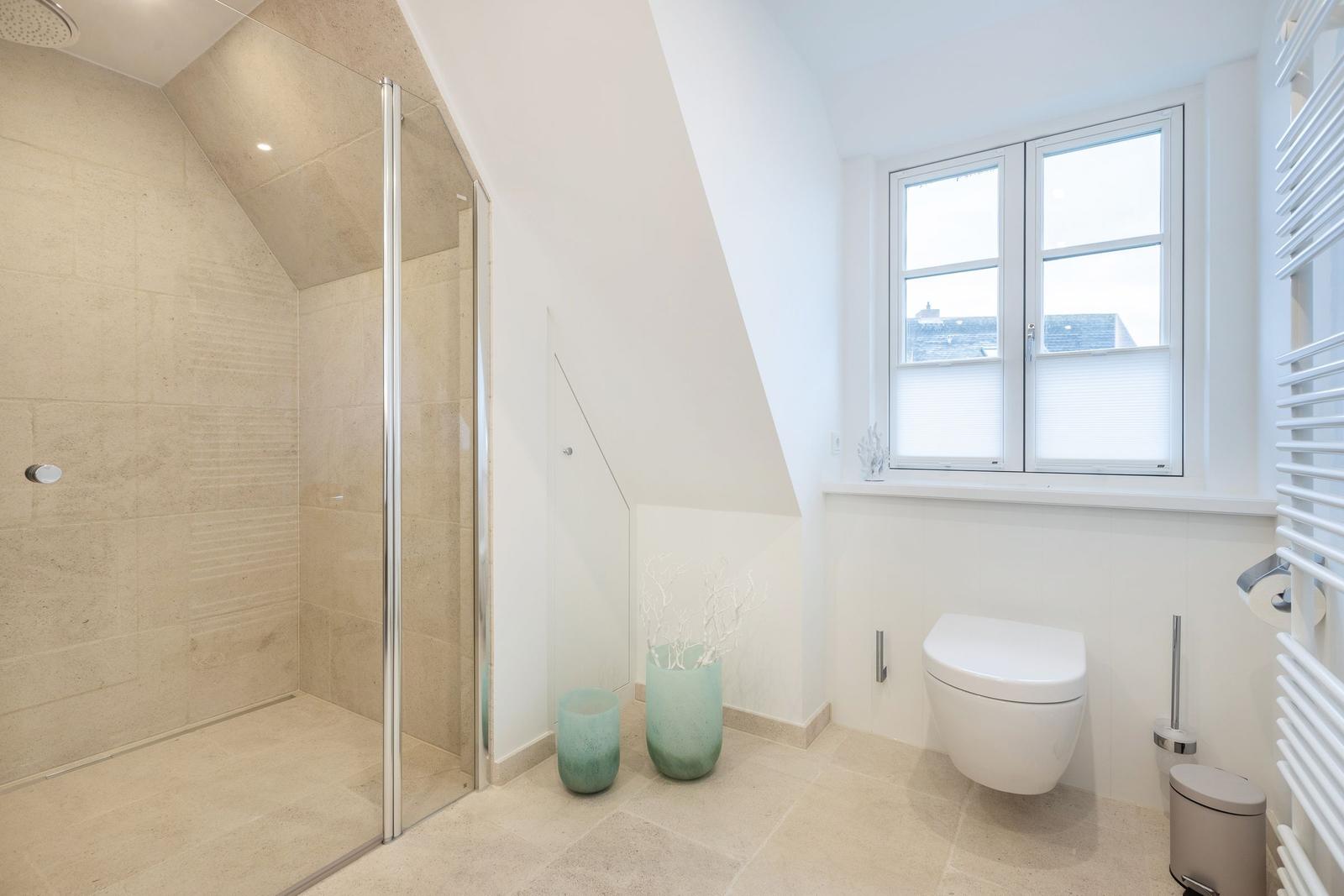 Dusche mit Glaswand, WC und Fenster mit Blick auf Dächer