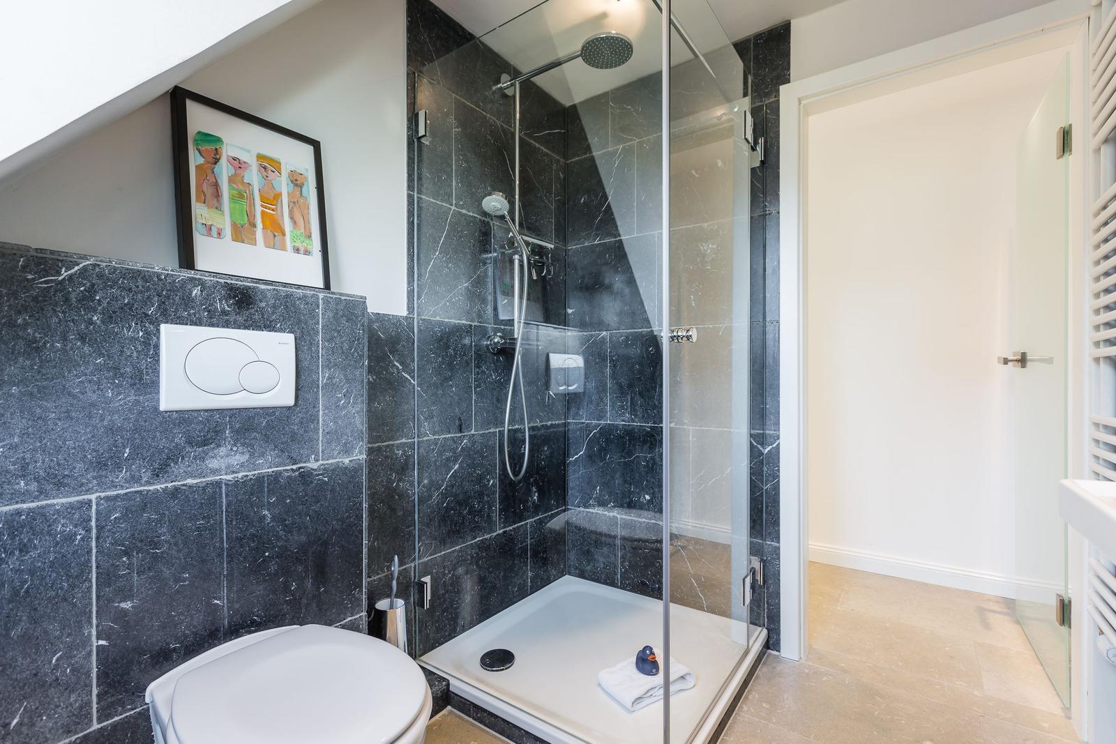Shower with glass enclosure, toilet, and wall art in modern bathroom