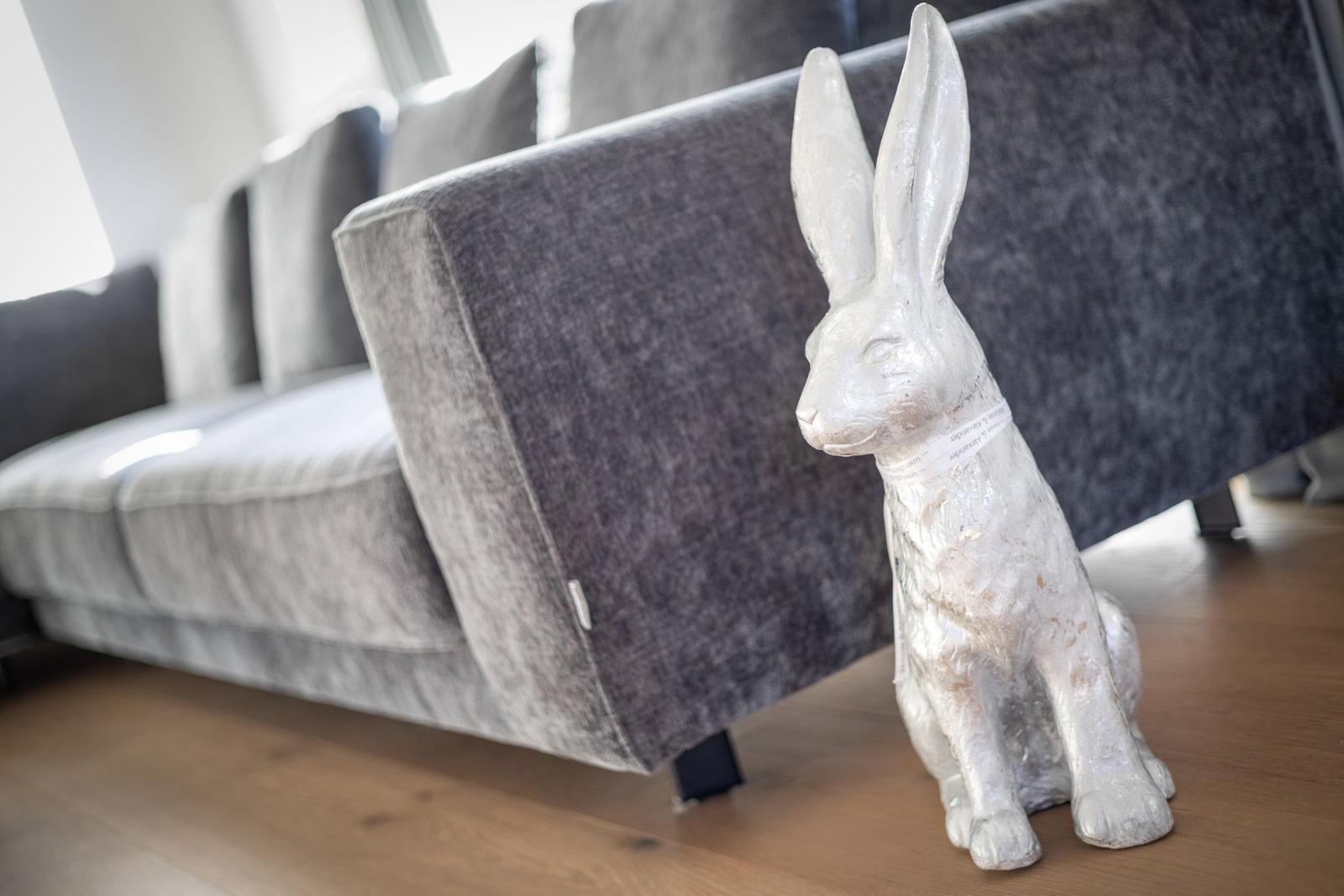 Ein weißer Hase steht vor einem grauen Sofa auf Holzboden.