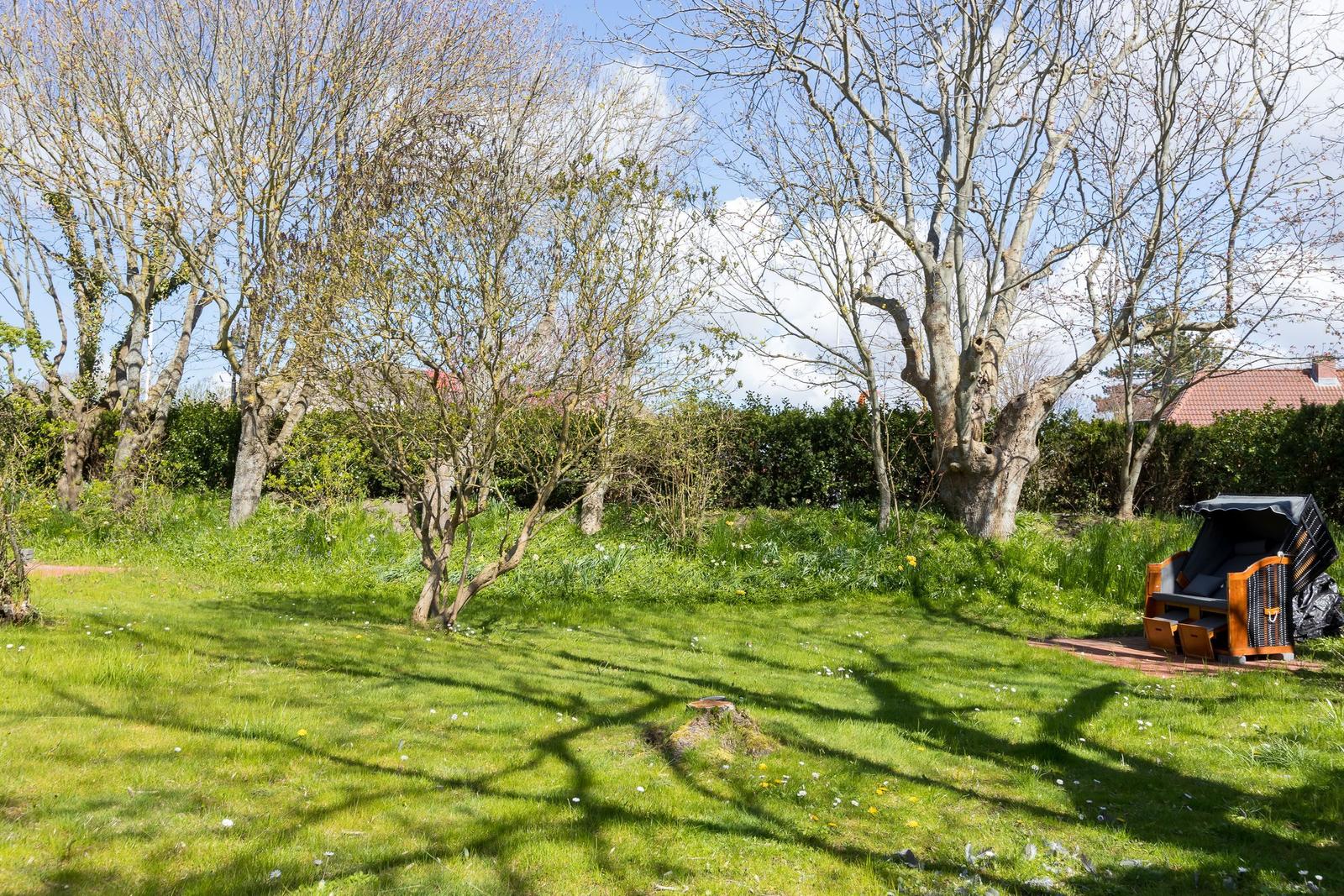 Garten mit Bäumen, Gras und Liegestuhl. Hintergrund: Hecke und Häuser.